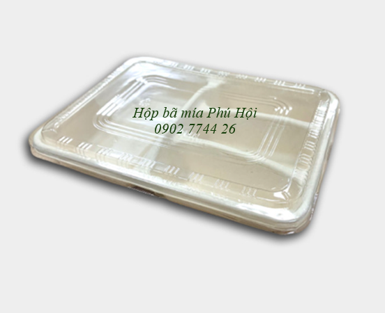 Hộp bã mía 4 ngăn đựng cơm