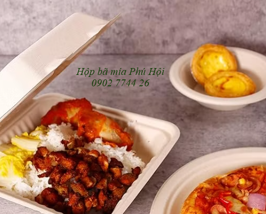Hộp bã mía dùng 1 lần tại TP Tân Uyên, Bến Cát, Bình Dương