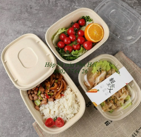 Hộp bã mía đựng cơm phần tại quận 4, quận 5, quận 6 TpHCM