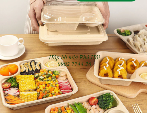 Hộp bã mía đựng cơm phần tại quận 4, quận 5, quận 6 TpHCM