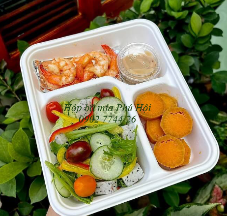 Hộp bã mía đựng cơm phần tại quận 4, quận 5, quận 6 TpHCM