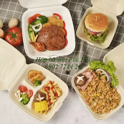 Hộp bã mía đựng cơm tại quận 1, quận 2, quận 3 TpHCM