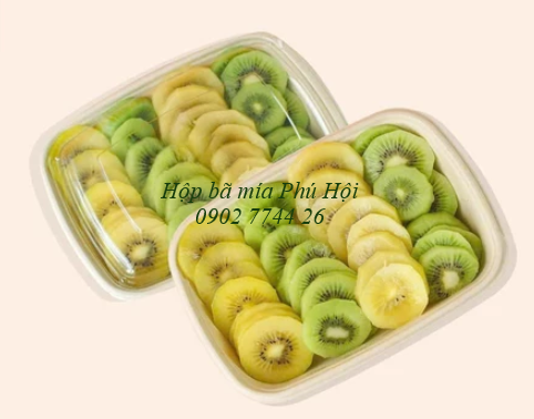 Hộp bã mía đựng đồ ăn mang đi