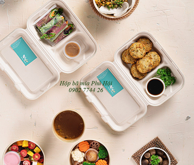 Hộp bã mía đựng đồ ăn mang đi