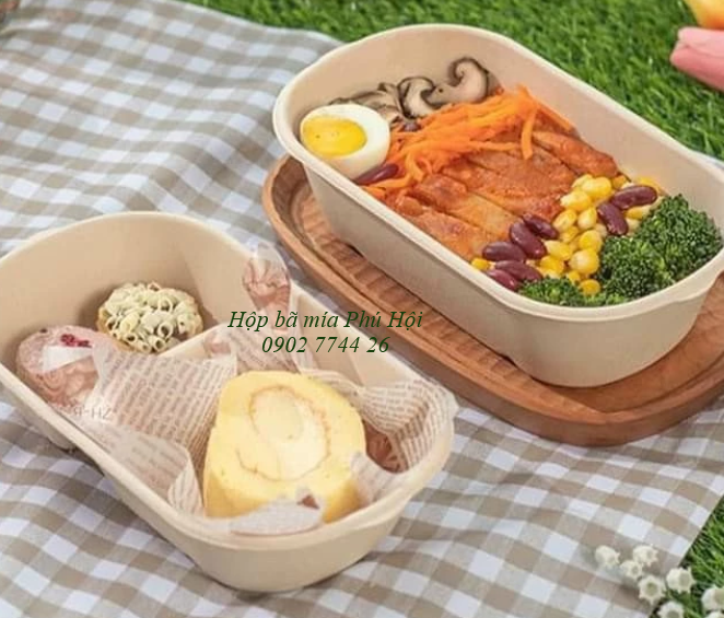 Hộp bã mía đựng gà rán tại quận 7, quận 8, quận 9 TpHCM