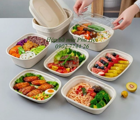 Hộp bã mía đựng mì xào, bún, phở