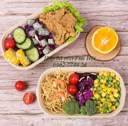Hộp bã mía đựng mì xào, bún, phở