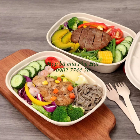 Hộp bã mía đựng phở