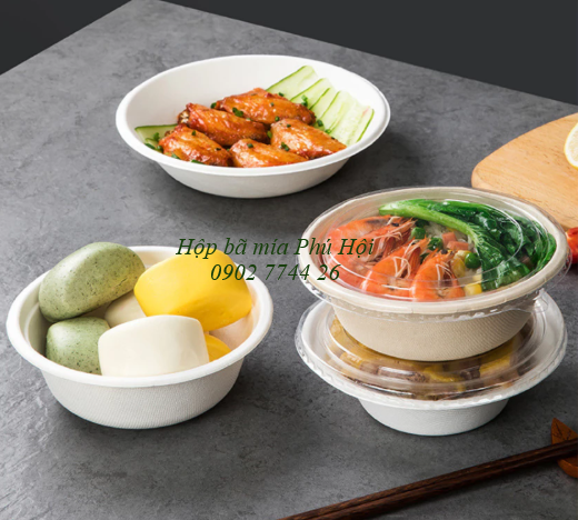 Hộp bã mía đựng phở