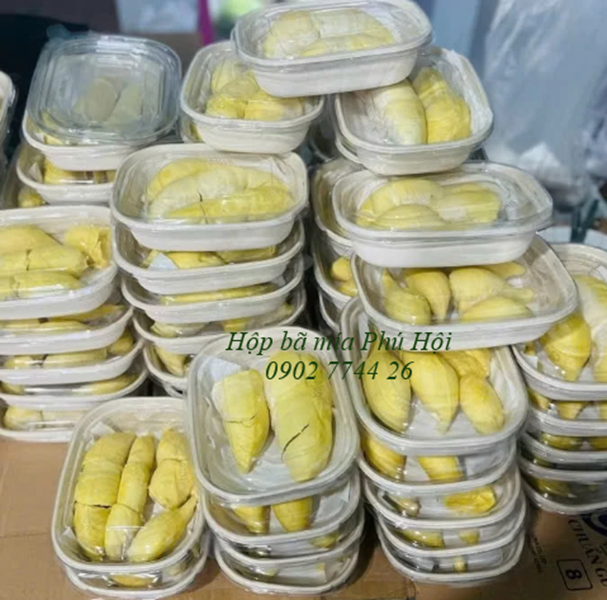 Hộp bã mía giá sỉ tại TP Bà Rịa, TP Vũng Tàu, TP Tây Ninh