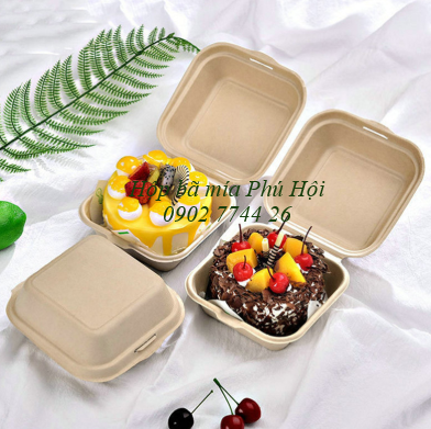 Hộp bã mía tại quận Gò Vấp, Phú Nhuận, Tân Phú TP.HCM