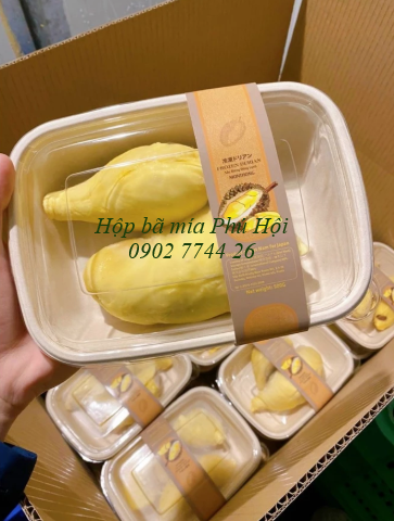 Hộp bã mía tại quận Thủ Đức, Bình Tân, Bình Thạnh TP HCM