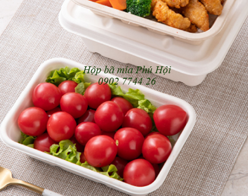 Hộp bã mía tại TP Cao Lãnh, TP Sa Đéc, Đồng Tháp
