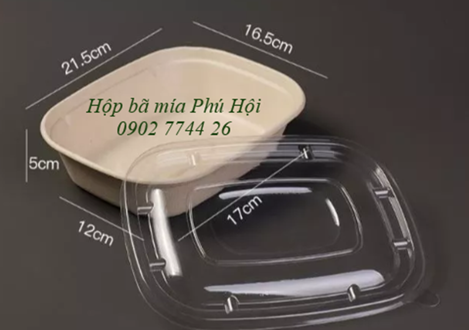 Hộp bã mía tại TP Cao Lãnh, TP Sa Đéc, Đồng Tháp