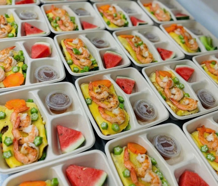 Hộp bã mía tại TP Huế, TP Tam Kỳ, TP Hội An, Quảng Nam