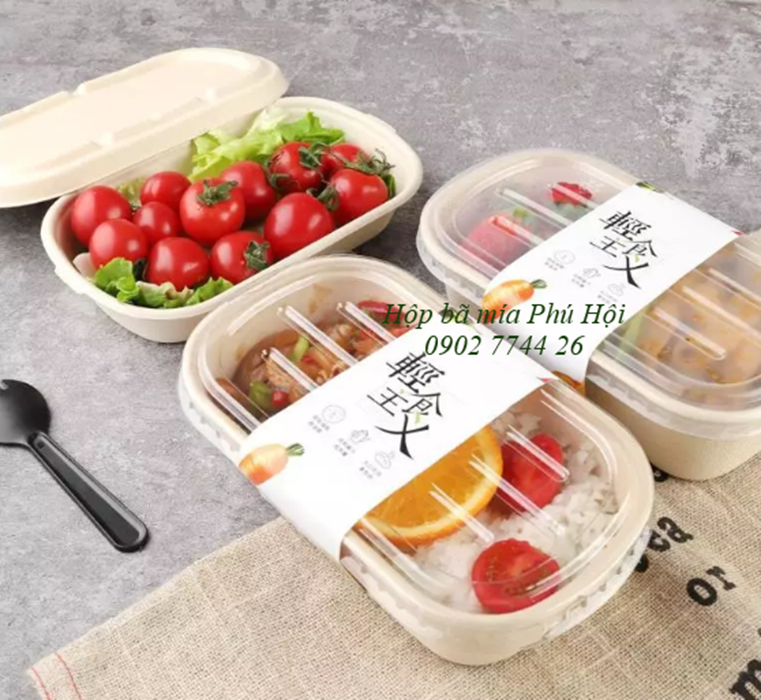 Hộp bã mía tại TP Long Xuyên, TP Châu Đốc, An Giang