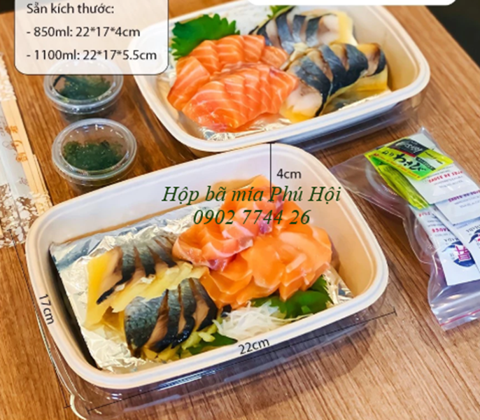 Hộp bã mía tại TP Quảng Ngãi, TP Quy Nhơn, Bình Định