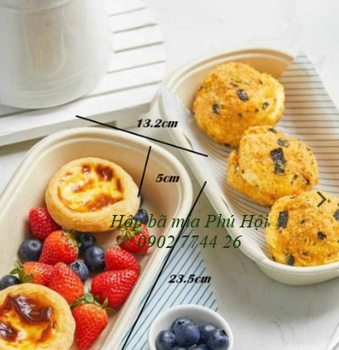 Hộp bã mía tại TP Rạch Giá, TP Hà Tiên, Kiên Giang