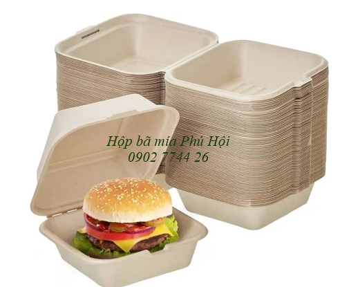 Hộp bã mía tại TP Sóc Trăng, TP Bạc Liêu, TP Cà Mau