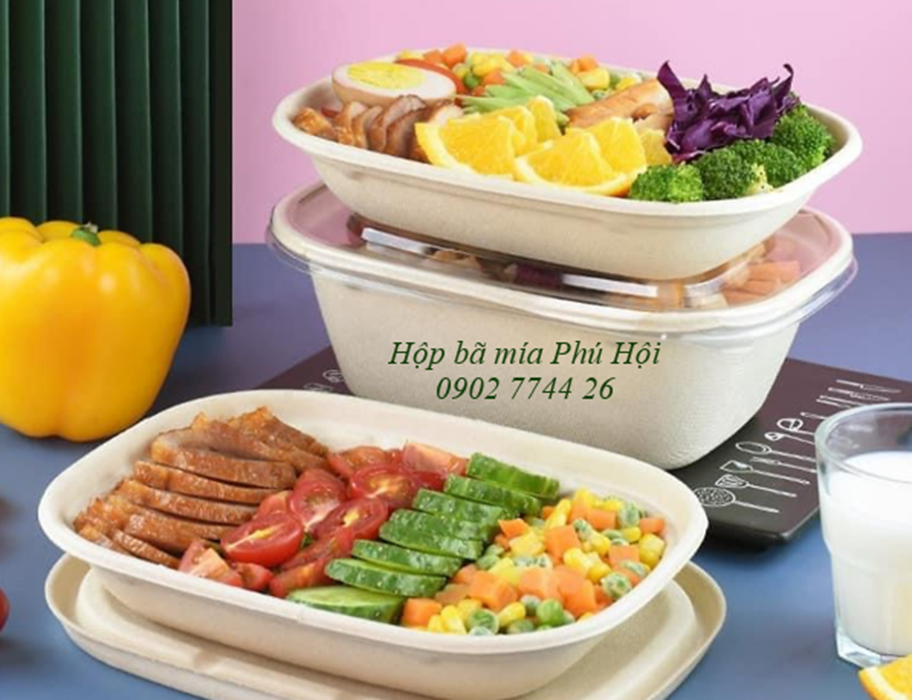 Hộp bã mía tại TP Tân An, Long An, Mỹ Tho, Tiền Giang, Bến Tre