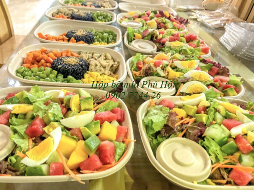 Hộp bã mía tại TP Tân An, Long An, Mỹ Tho, Tiền Giang, Bến Tre