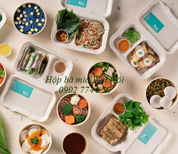 Hộp bã mía tại TP Tân An, Long An, Mỹ Tho, Tiền Giang, Bến Tre