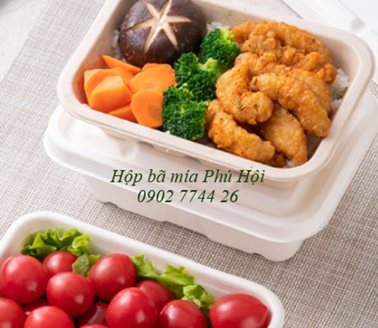 Hộp bã mía tại TP Thanh Hóa, TP Vinh, Nghệ An, TP Hà Tĩnh