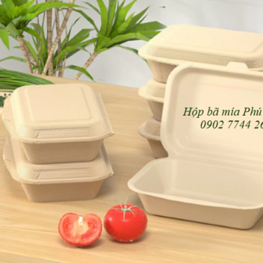 Hộp bã mía 1 ngăn nắp liền 600ml 