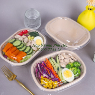 Hộp bã mía 1 ngăn to nắp nhựa PET 1100ml