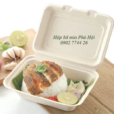 Hộp bã mía 1 ngăn đựng cơm