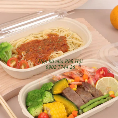 Hộp bã mía đựng bún